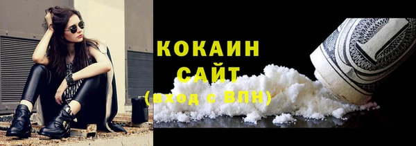 прущие крисы Вяземский