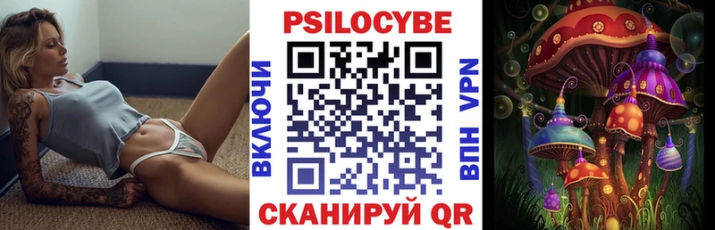 Галлюциногенные грибы Psilocybine cubensis  Лаишево 